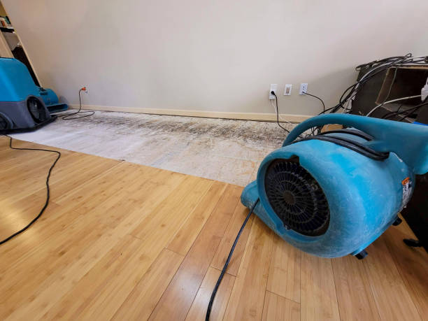 Professional Structural Drying technician working in Arlington, GA